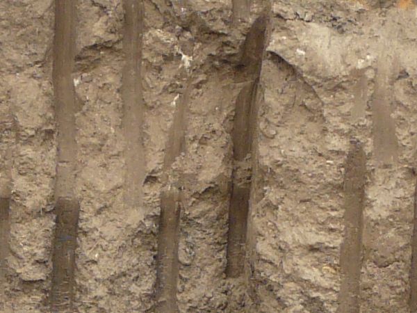 Texture of dark brown dirt wall with smooth vertical marks dug into it and an area of green and yellow grass at the top.